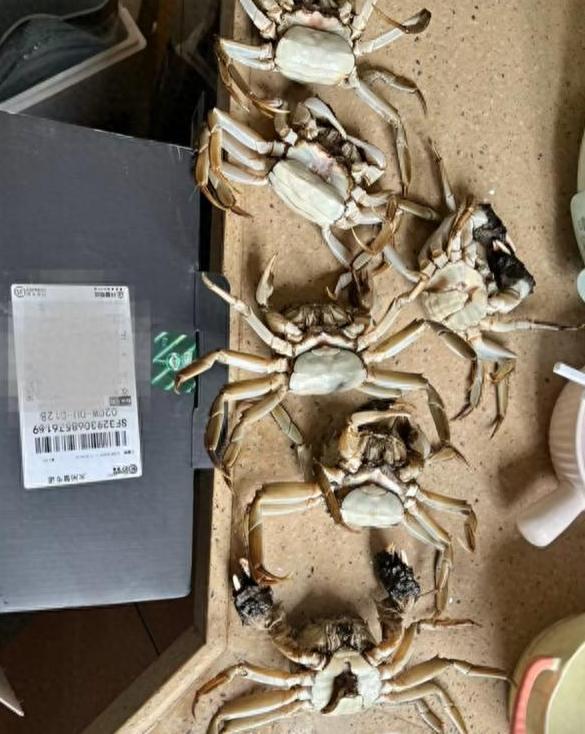 死蟹公母数量对不上！AI造假讹诈大闸蟹商家，最终自食其果大闸蟹商家这次较真，