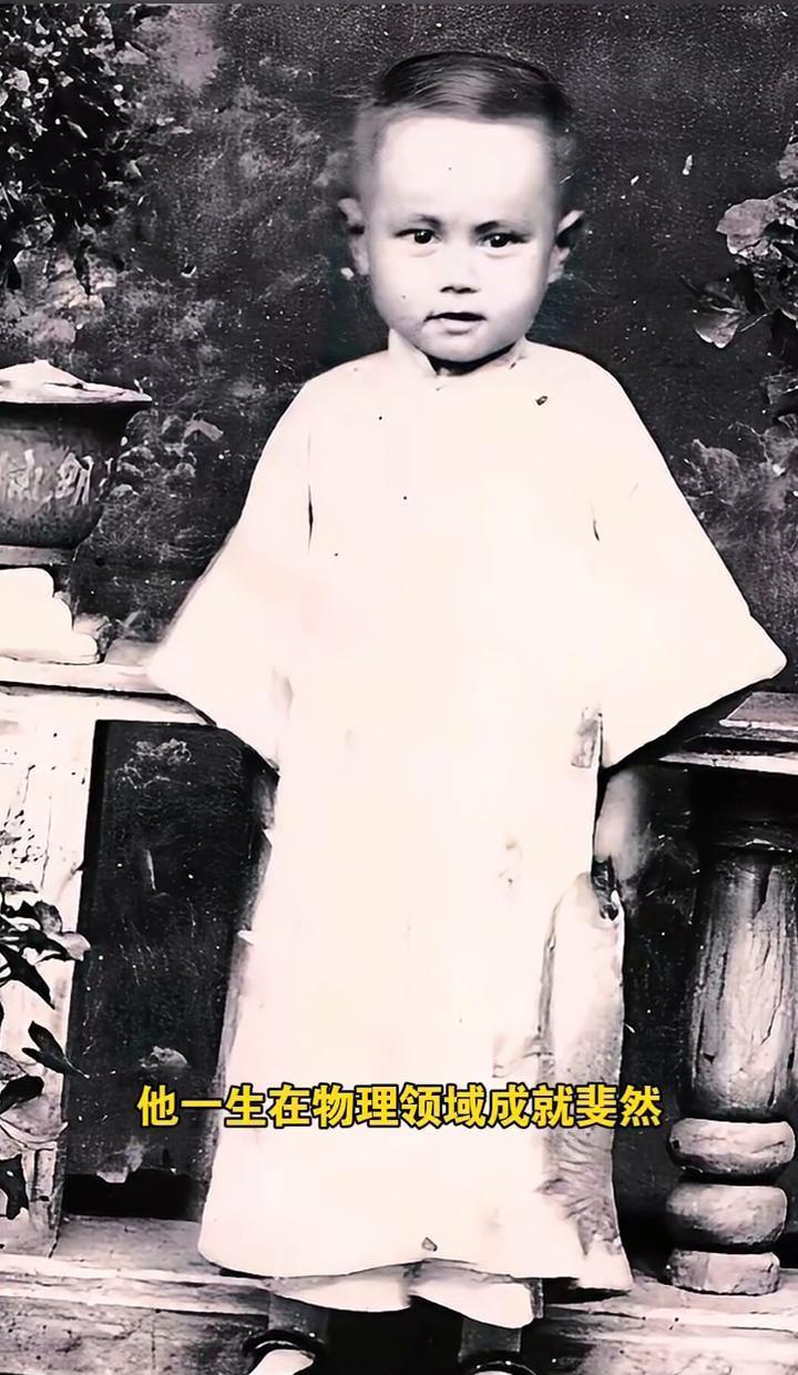 四岁认字，别人还在玩泥巴，他已啃透物理书。和李政道一拍脑袋，把诺贝尔奖带回了华