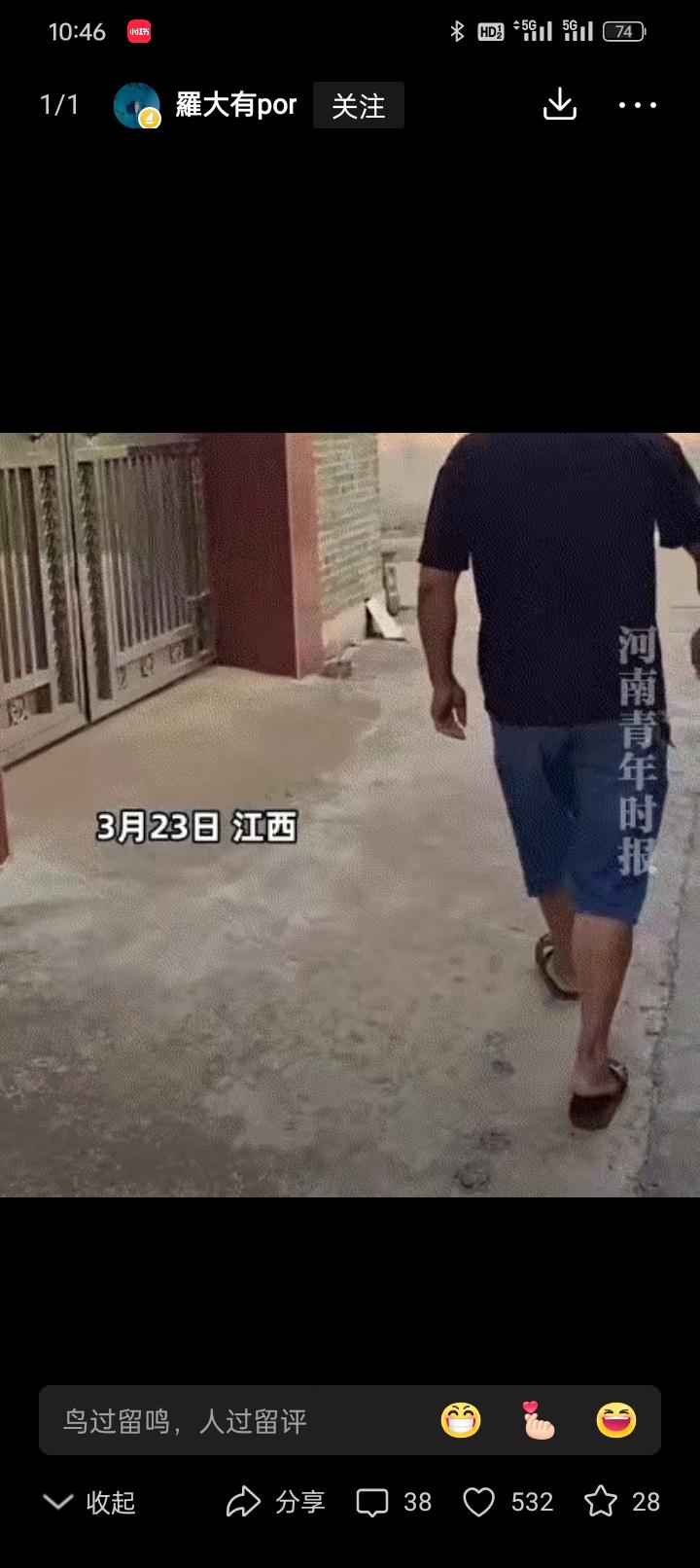 江苏这只老狗看哭全网！主人离世后它守空屋十年，邻居喊吃饭竟腼腆到不敢跟江苏