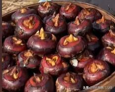 下面这个蔬菜是南通人餐桌上的常客，一般切片和韭黄一起炒，可以炒文蛤肉，也可以炒鱼