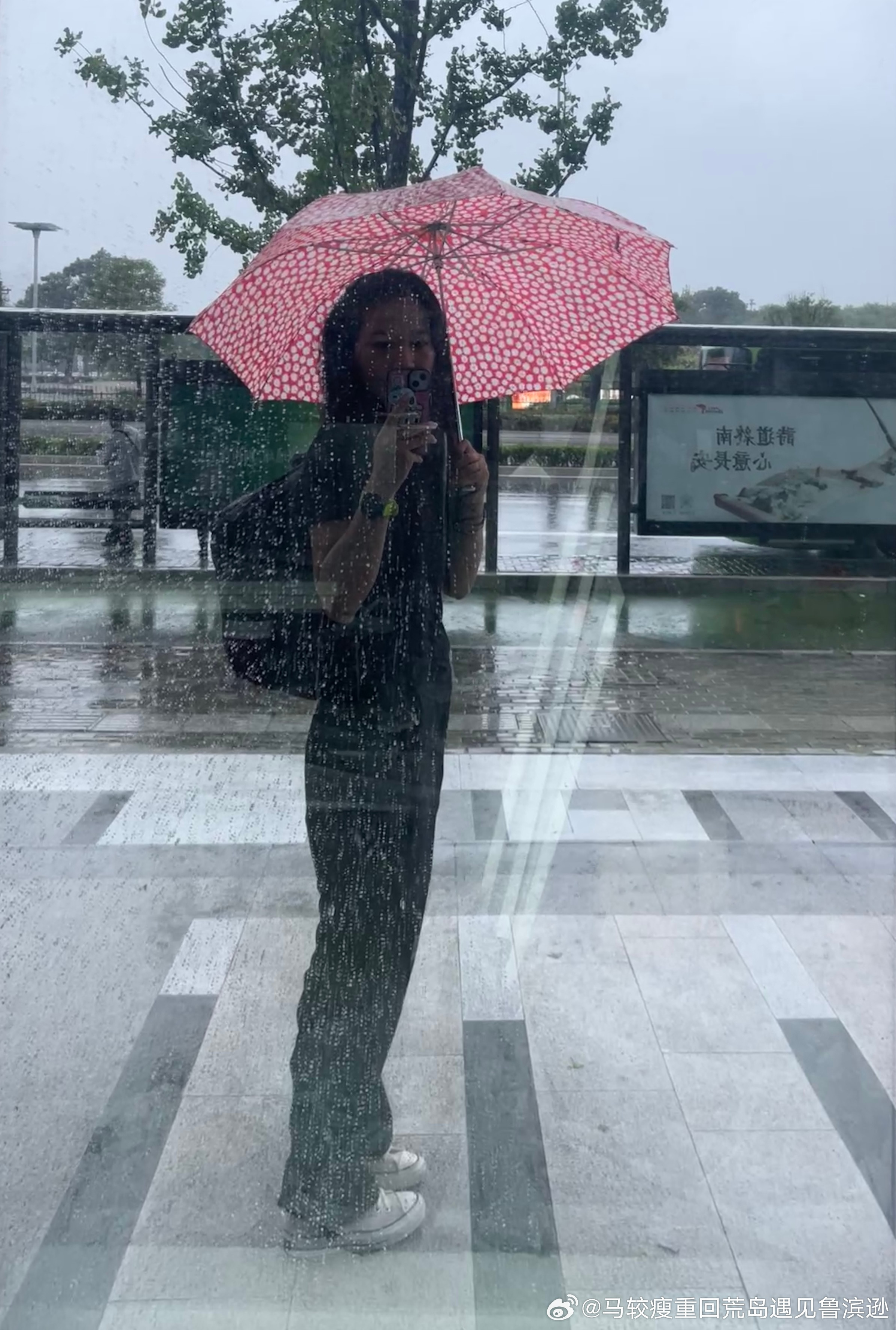 今日拉磨记录