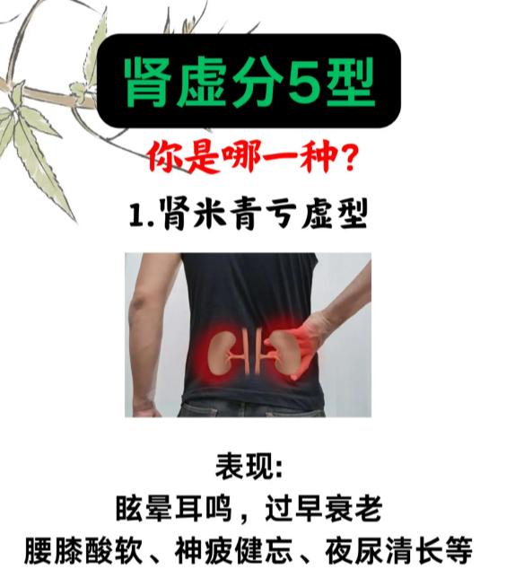 中医辨证：肾虚分5型，看看你是哪一型？
