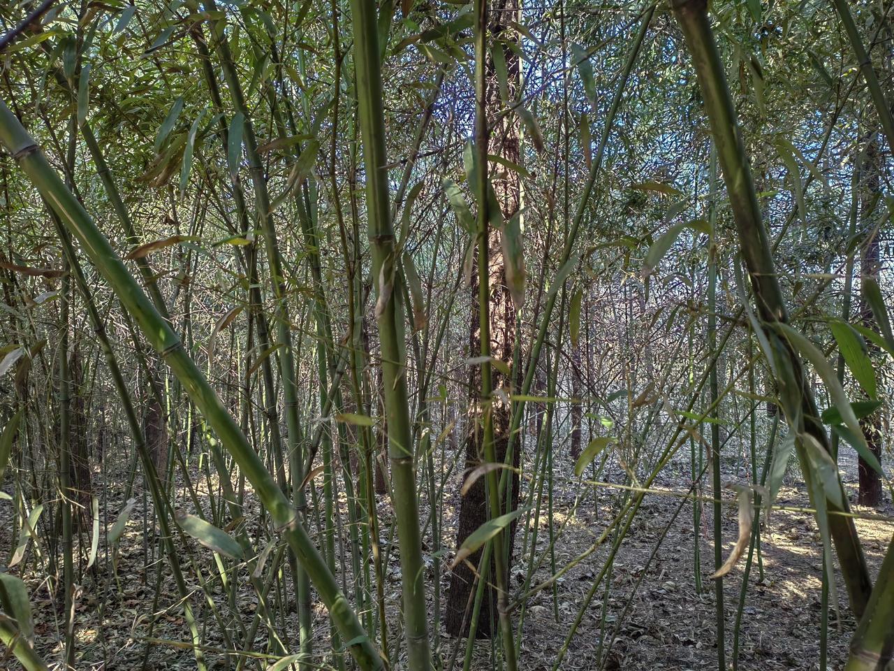 在体制内上班，不要经常讲自己干了很多工作，不要自说自评功劳大，摆自己成绩时尤其不