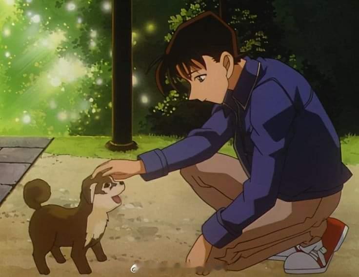 爱狗🐶人士工藤新一/江户川柯南名侦探柯南​​​