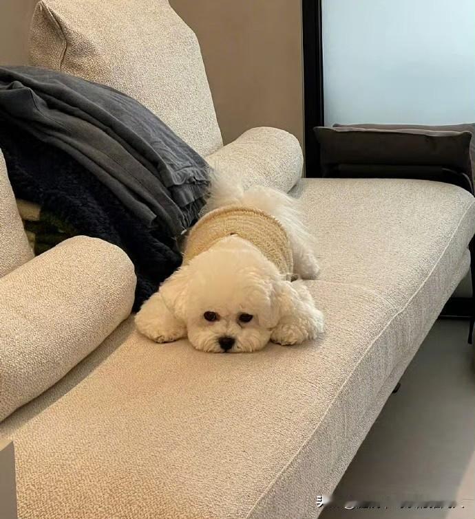 昨天婆婆问我为什么几天没上班，我说失业了找不到工作。然后她口吐金句说，你天天窝在