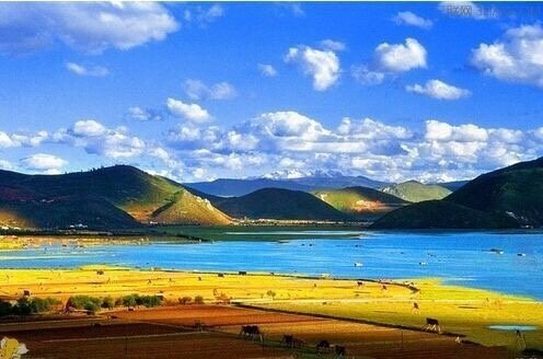 这个秋天，我想和你去纳帕海一睹它辽阔与圣洁的美景，淘洗自己平常岁