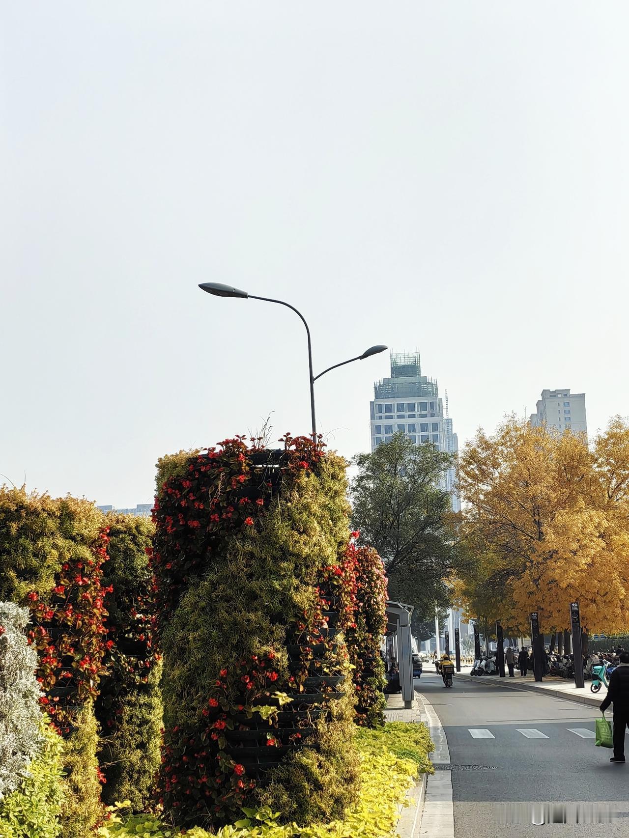 我的家乡石家庄，它是一座美丽的城市，人们称它国际庄。三年大变样，带来了