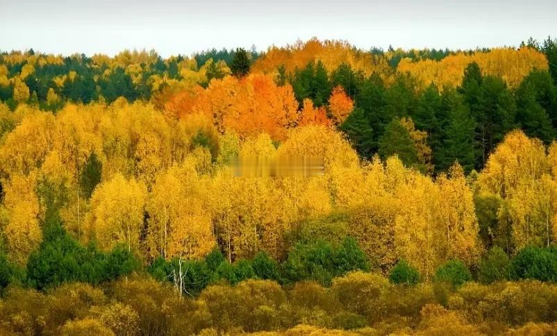 周日不开盘，市场传来3大消息！ 第一：宁德出现百亿减持 周末晚间，锂电池龙头宁德