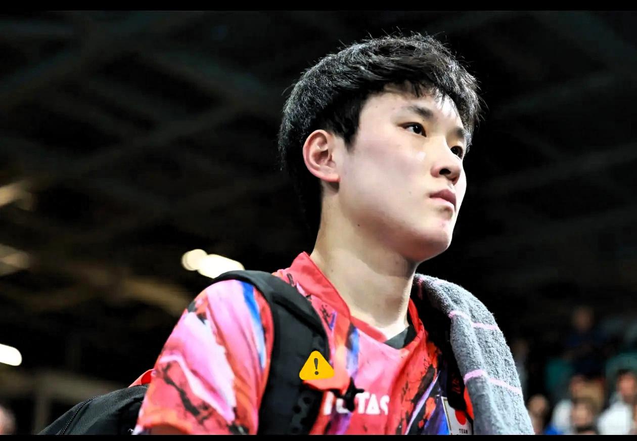 饭局上听常驻日本的哥们儿吐槽，张本智和这回算是彻底玩脱了。赢了林诗栋本来挺风光