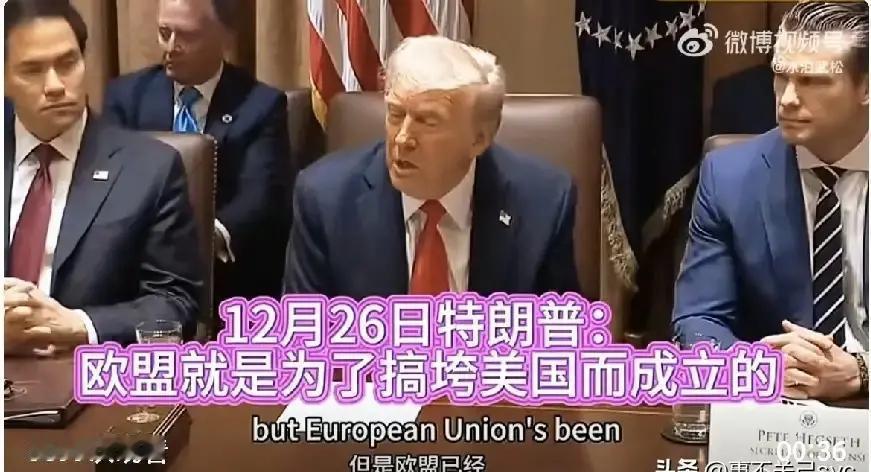 12月26日，美国总统特朗普称，“欧盟就是为了整垮美国而成立的。”12月2
