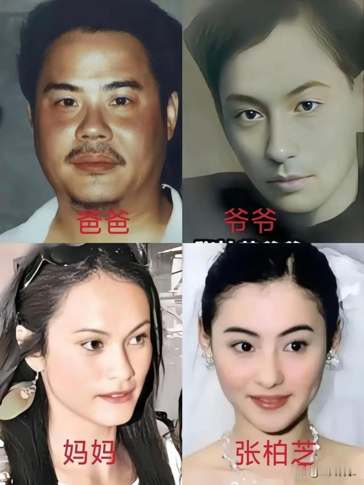 从张柏芝的童年经历不难看出一直想生孩的原因，她9岁时父母离异，主动选择跟经济条件