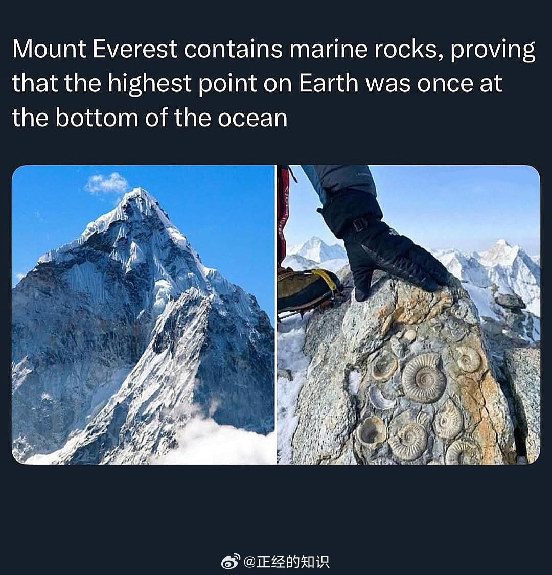 四亿多年前，珠穆朗玛峰曾经被淹没在水下。
