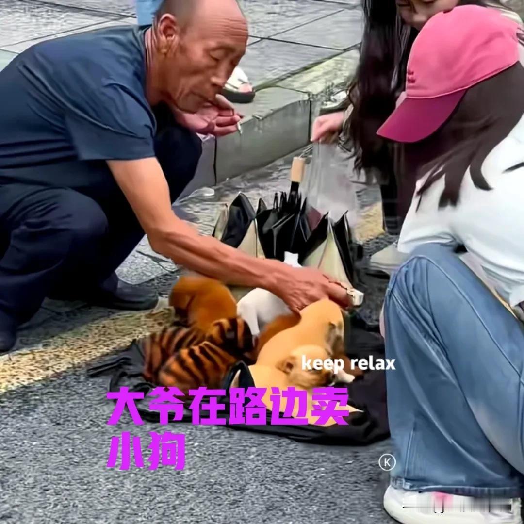 马路边上，一位大爷在卖小狗。地上放着一个黑色的背包，几只小狗挤坐在背包上面，看起