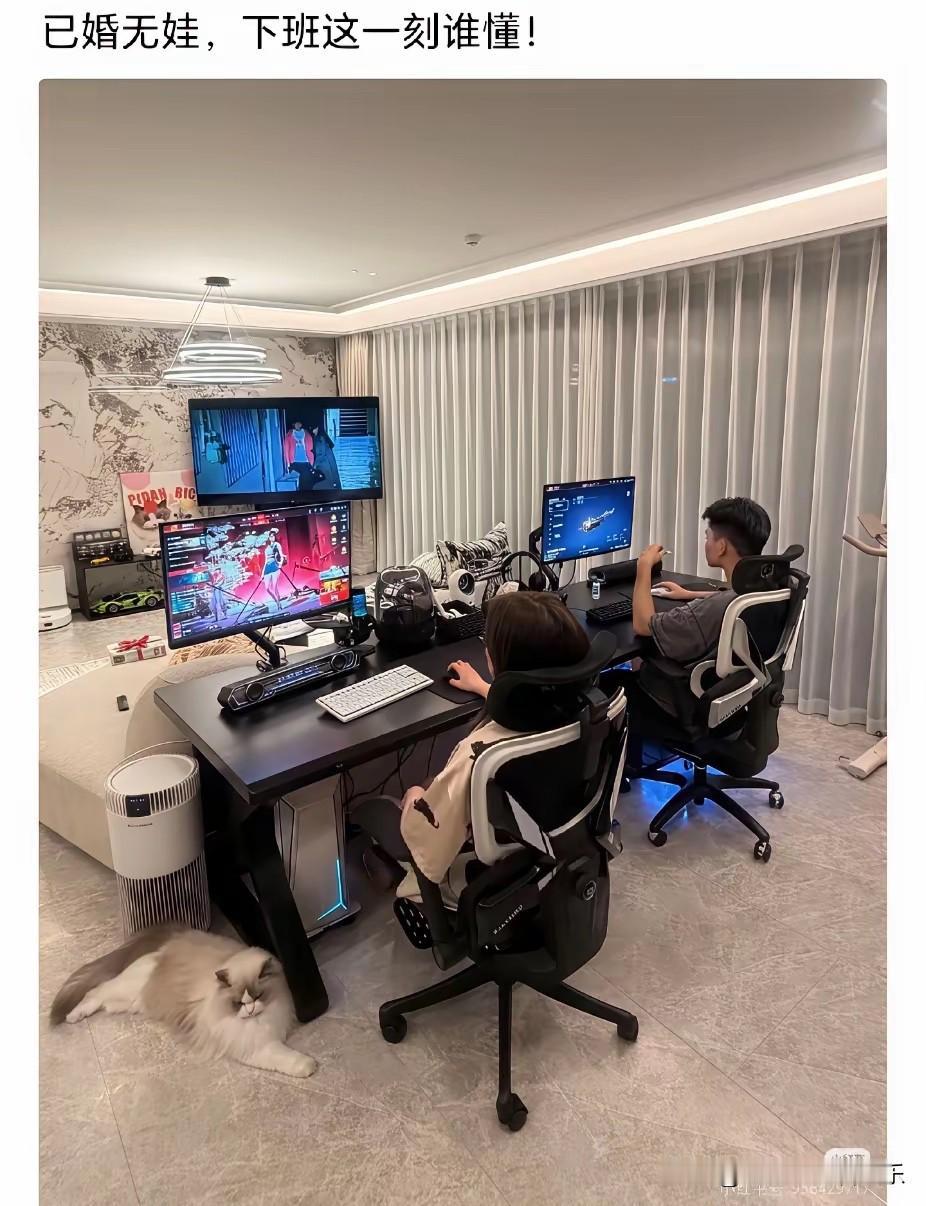 不得不承认，这样的夫妻，越来越多了！