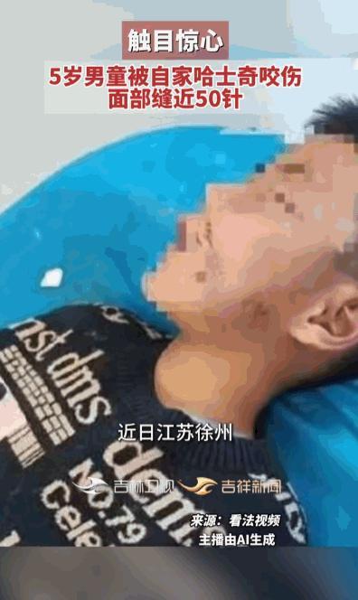 养狗千万别凭感觉！江苏徐州，突发很心疼一幕，家里养了好几年的哈士奇，平日里乖巧黏