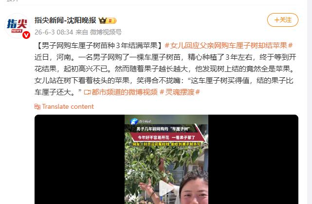 笑不活了！河南，男子网购了一颗车厘子树苗，精心栽培了三年却怎么也不结果，家里人都