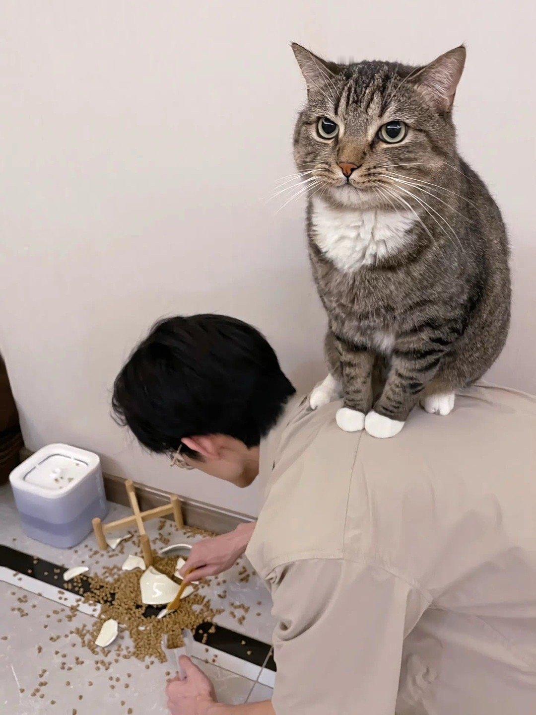 挺霸道啊​​​