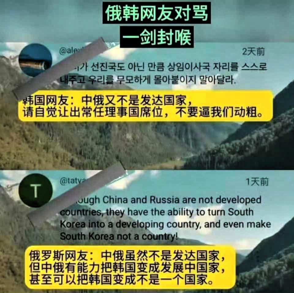 韩国网友：中俄又不是发达国家，请自觉让出常任理事国席位，不要逼我们动粗。俄罗