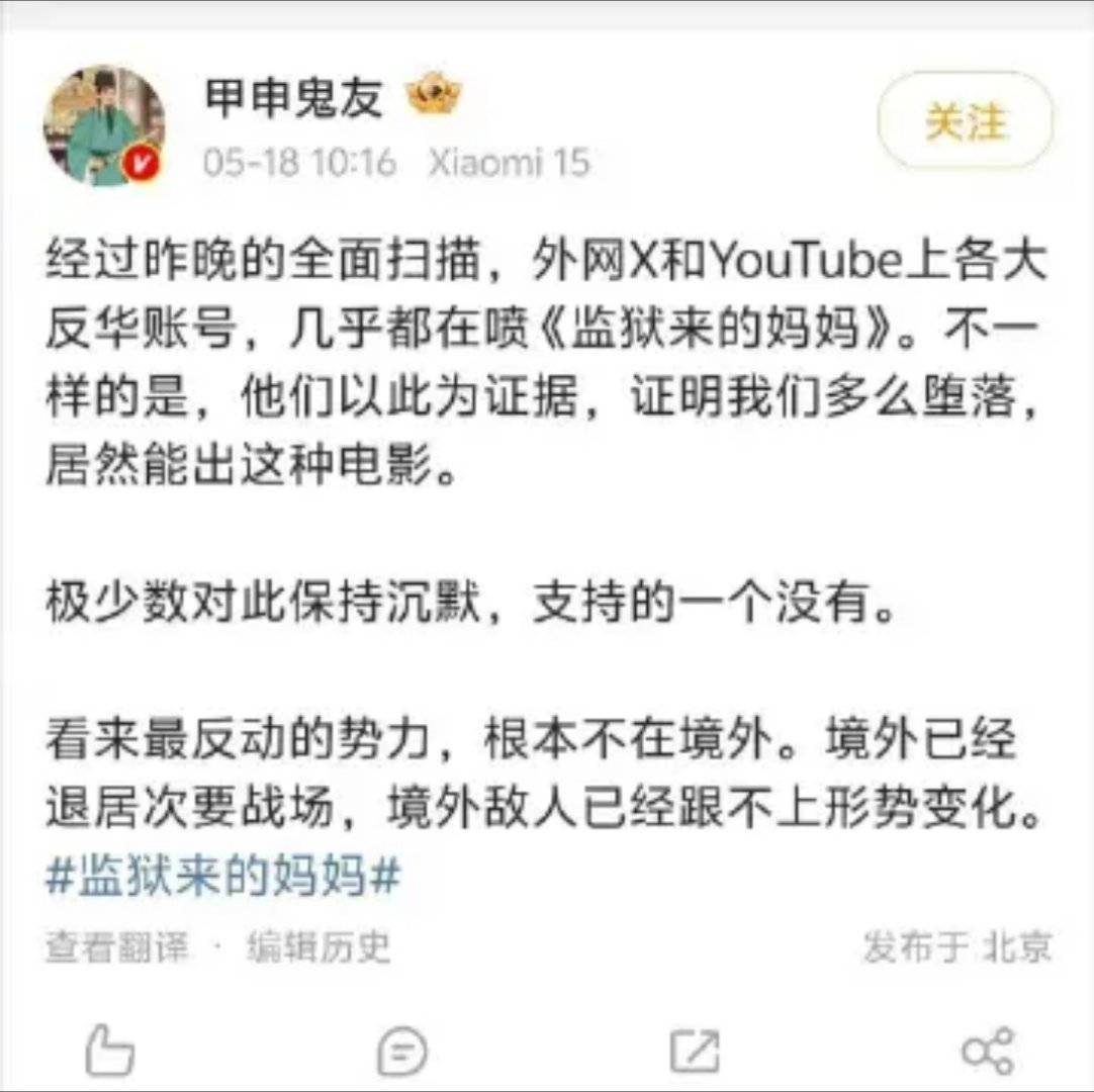 为了讨好反华势力拍的电影，结果反华势力都看不下去了……监狱来的妈妈监狱来的妈妈涉