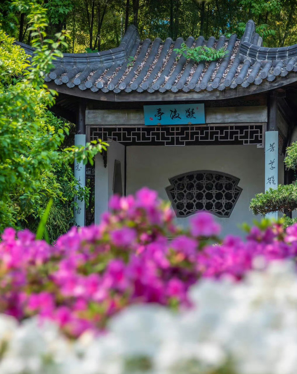 无锡，依山傍湖，藏着秀美的江南园林，和悠久的历史。​​​