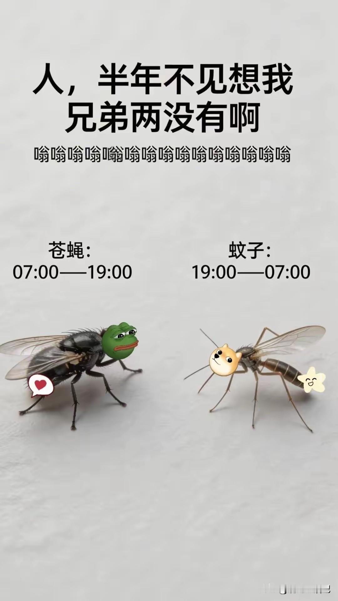 你俩是无缝衔接呀[捂脸哭]