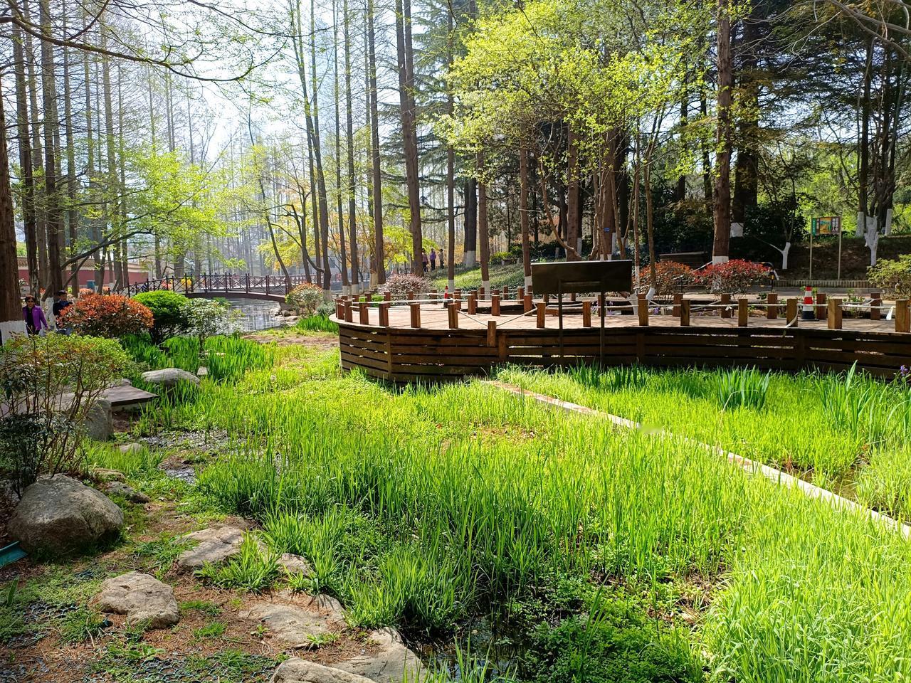 周末不用接送孩子，股市休市不用盯盘，在这春暖花开的时节，不出去走走好像对不住大自