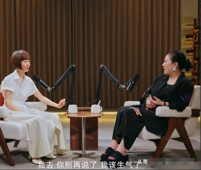 鲁豫罕见的在访谈中生气了！向太偏帮徐克说话，直接把陈鲁豫惹毛了“我去，你别再说