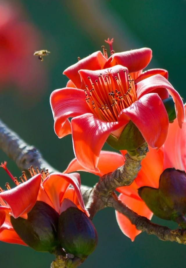 中医讲，心情愉悦是大补，情绪低落是大伤，可是，方子有，药难抓；中医还说了