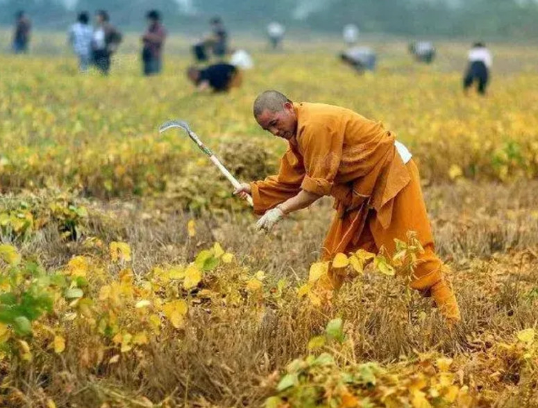 难怪印乐法师能成为少林寺的住持，给你讲三件事，你就信了。一是，天气炎热，游客在