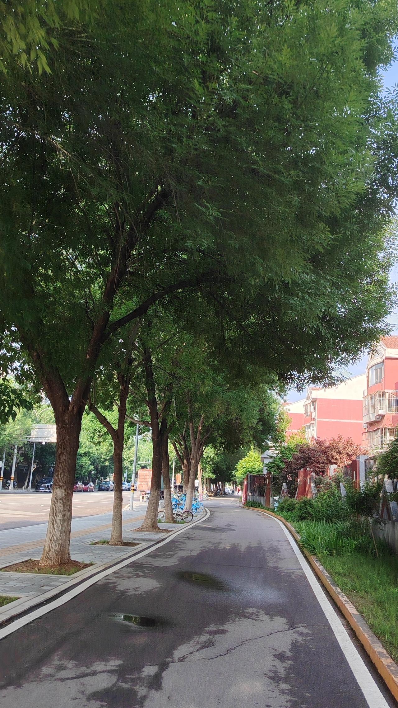 岁月静好•未来可期岁月极美，在于它必然的流逝，以及它带走的那些胶原蛋白。春花、