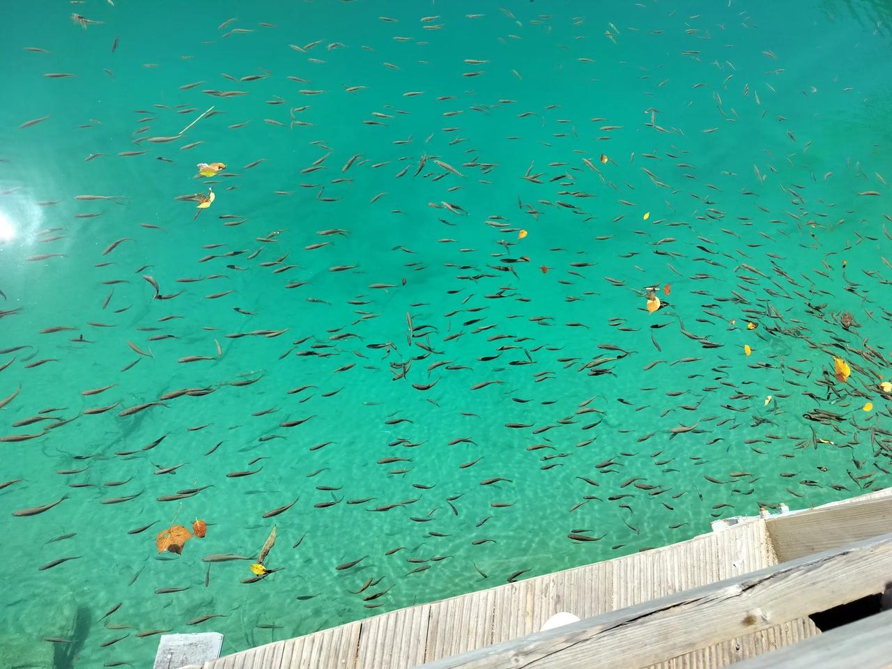 天南地北大拜年中大乐透一等奖