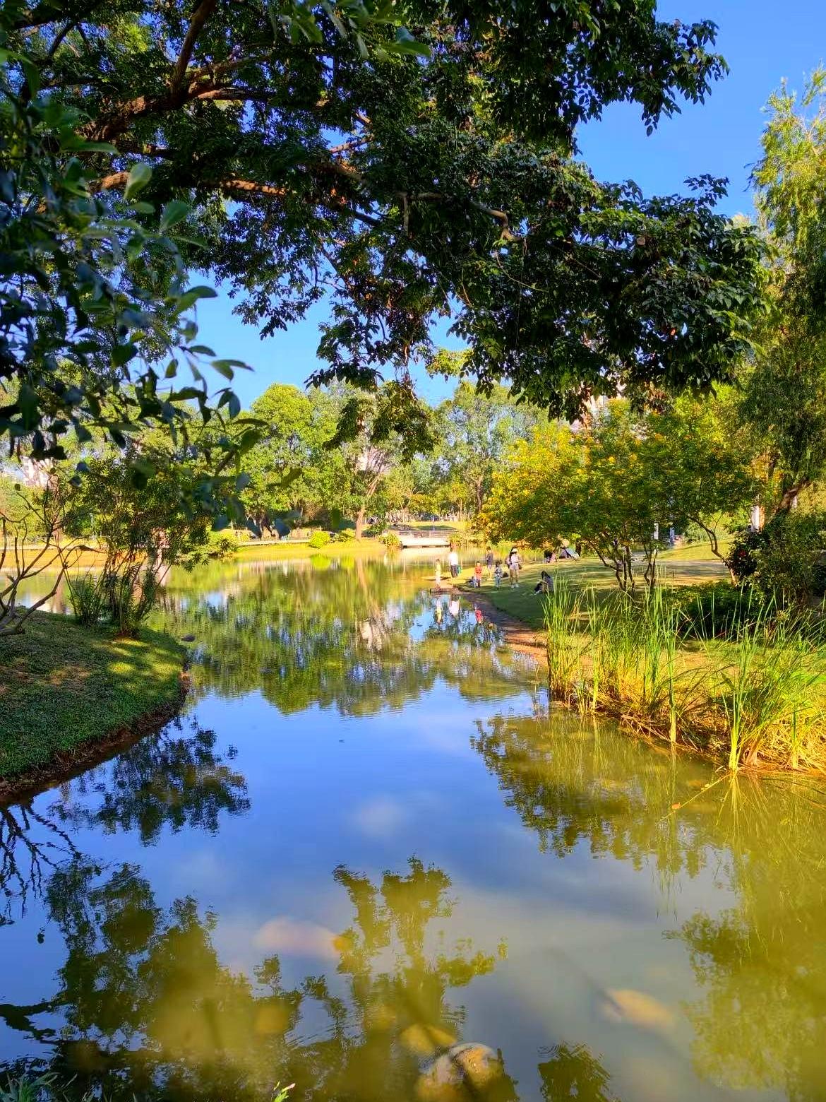 中秋节的电话，我盯着屏幕看了半天，没接。老宅拆迁那会儿，一百二十万，我妈眼皮都
