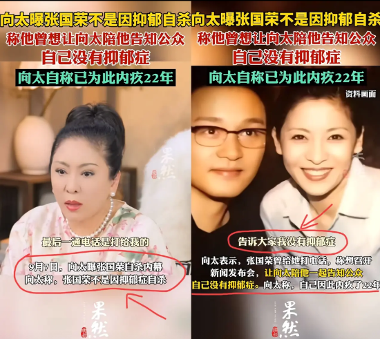 张国荣不是因为抑郁而自杀的？向太满是愧疚，透露他最后一通电话打给自己，急切地