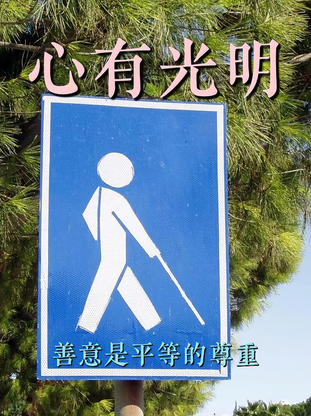 这才是人与人之间最珍贵的善意#温暖 #盲人 #暖心 #尊重 #司机 #网约车 #正能量 #万万没想到 #共情