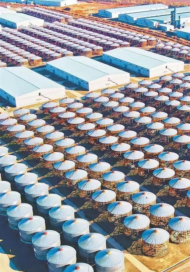 囤到牙齿还顺差1.2万亿美元，2025这盘棋真要下到底吗？2025年，风向不寻