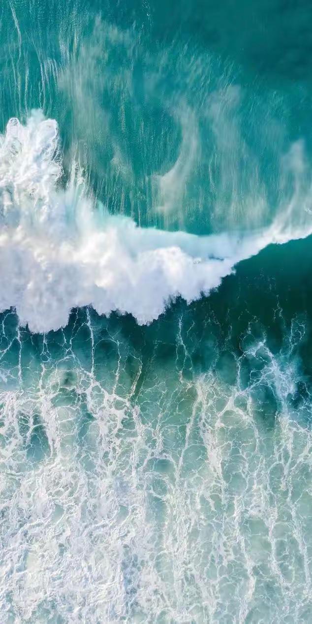 禅门中有一桩旧案，少有人知。南怀瑾先生曾提及：“达摩祖师东来，晚年遭嫉，五次被