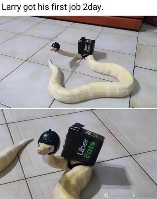 python程序员下岗再就业​​​