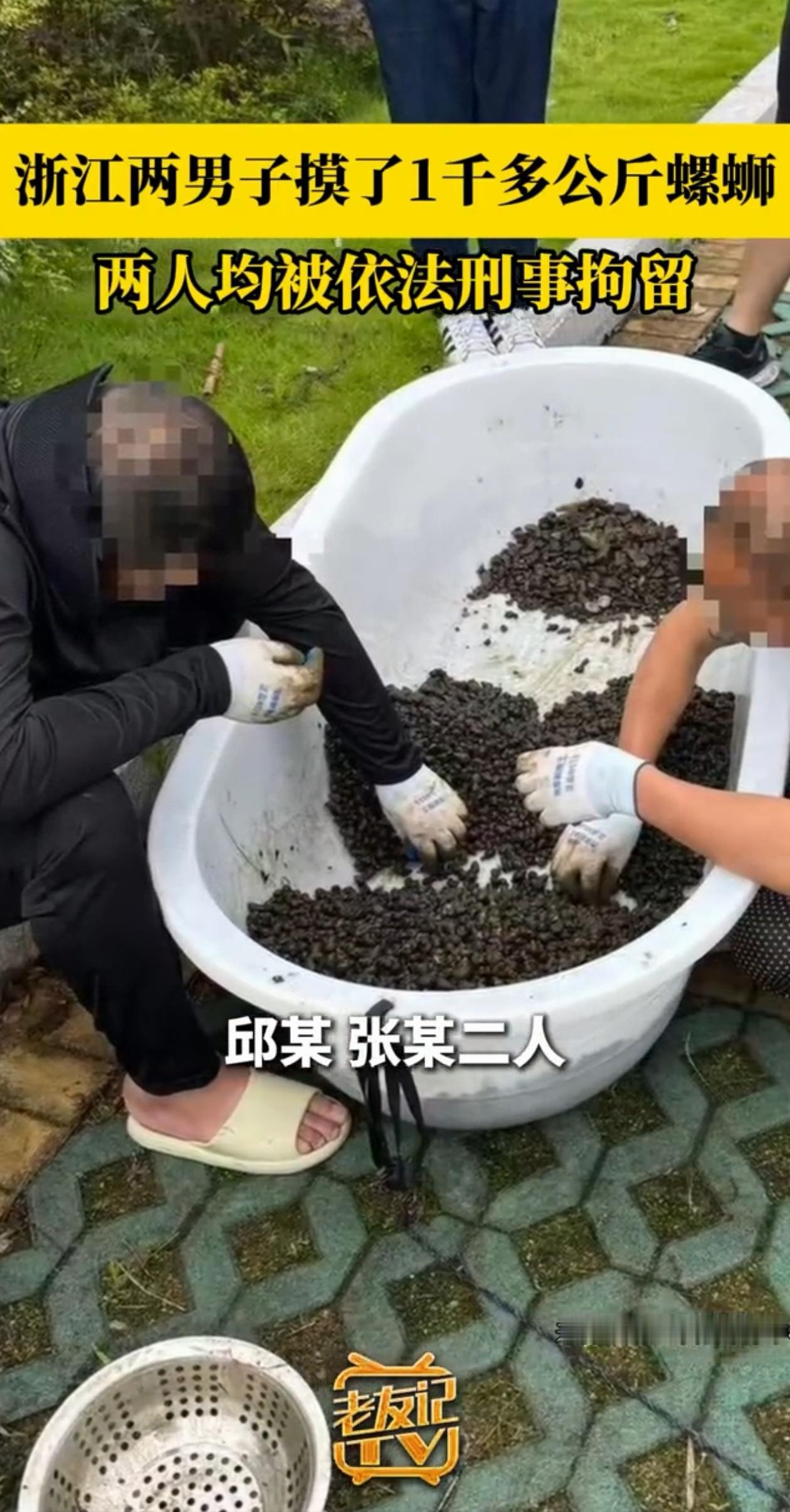 胆子真大！浙江诸暨，两名男子跑到江边去捞螺蛳，一捞就是1000多公斤，恰好这个时