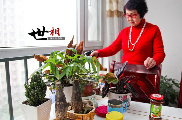转:81岁老太吴胜明的彪悍人生:曾因走私入狱 如今再成千万富翁(组图) - 孟宪民 - 书法家孟宪民的博客 转:81岁老太吴胜明的彪悍人生:曾因走私入狱 如今再成千万富翁(组图) - 孟宪民 - 书法家孟宪民的博客