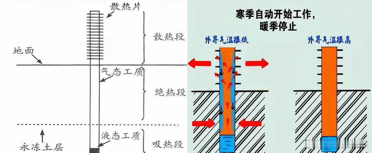 一根铁棒20万，青藏铁路两边居然整整插了1.5万根！很多人直呼花费太高...