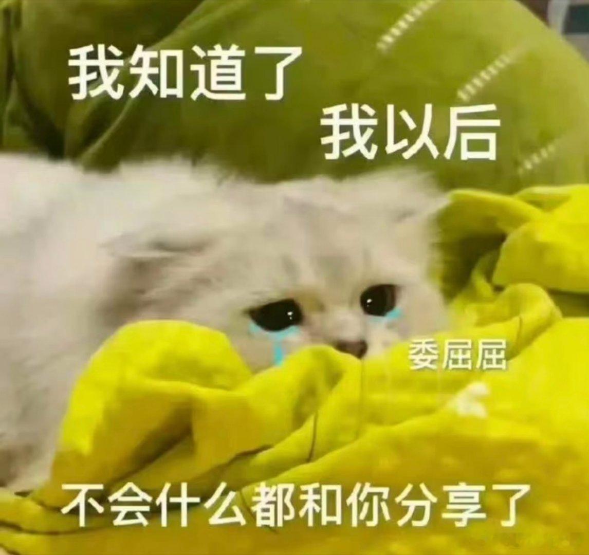 猫咪表情包。