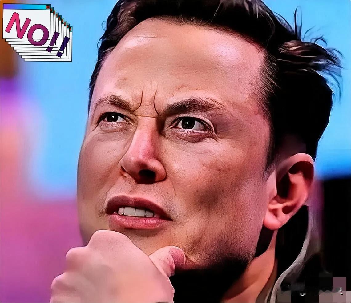 “美国根本不缺稀土，全世界都能挖！”美国首富马斯克语出惊人，可他接下来的一句话，