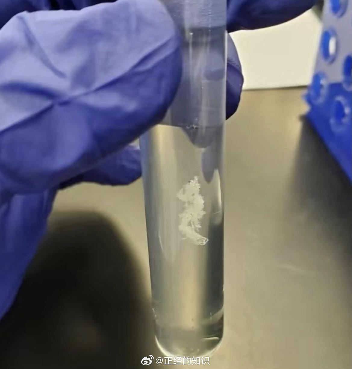 如果您还没有见过DNA团块的样子