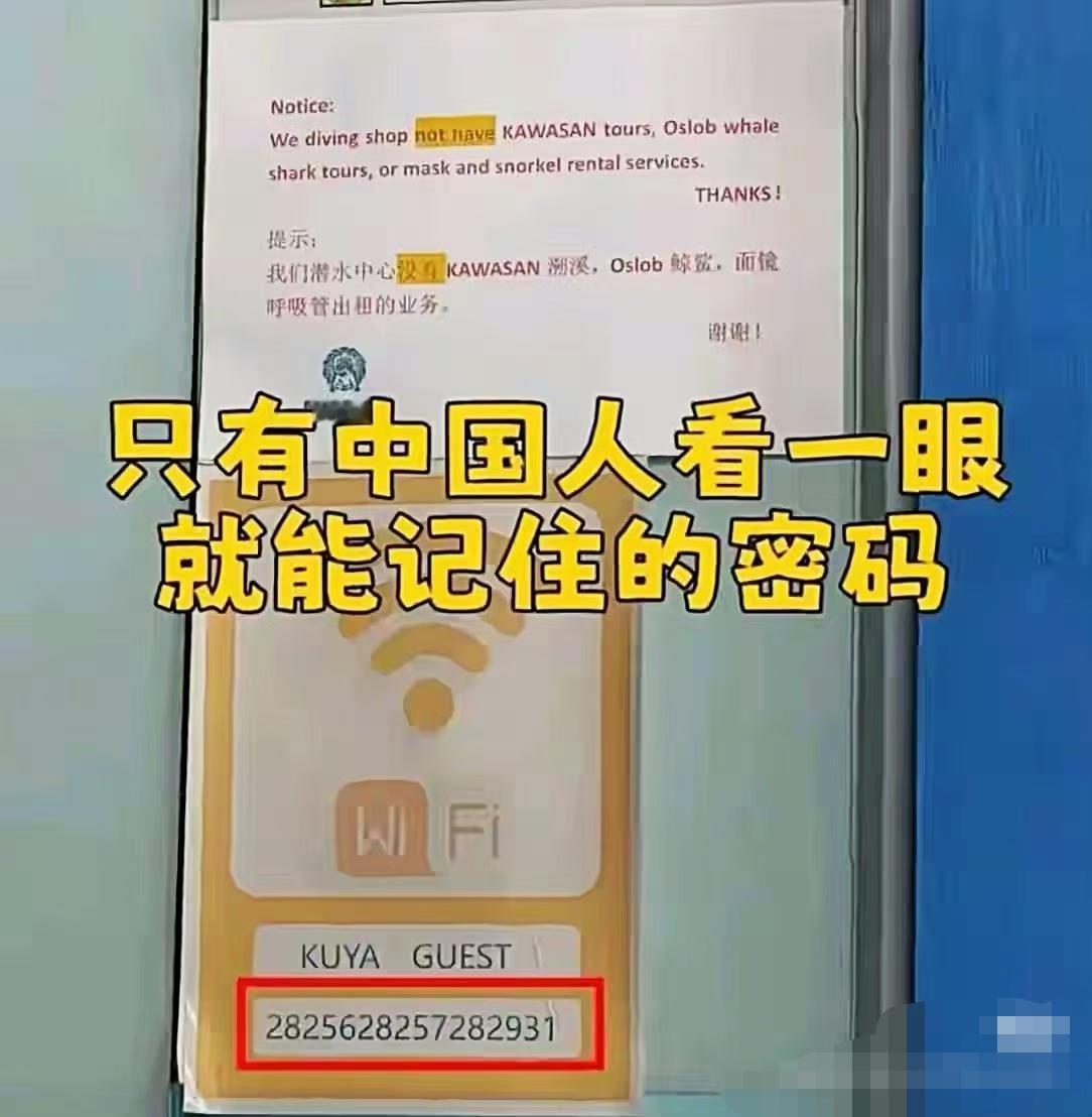 我是中国人，可是我没看懂。