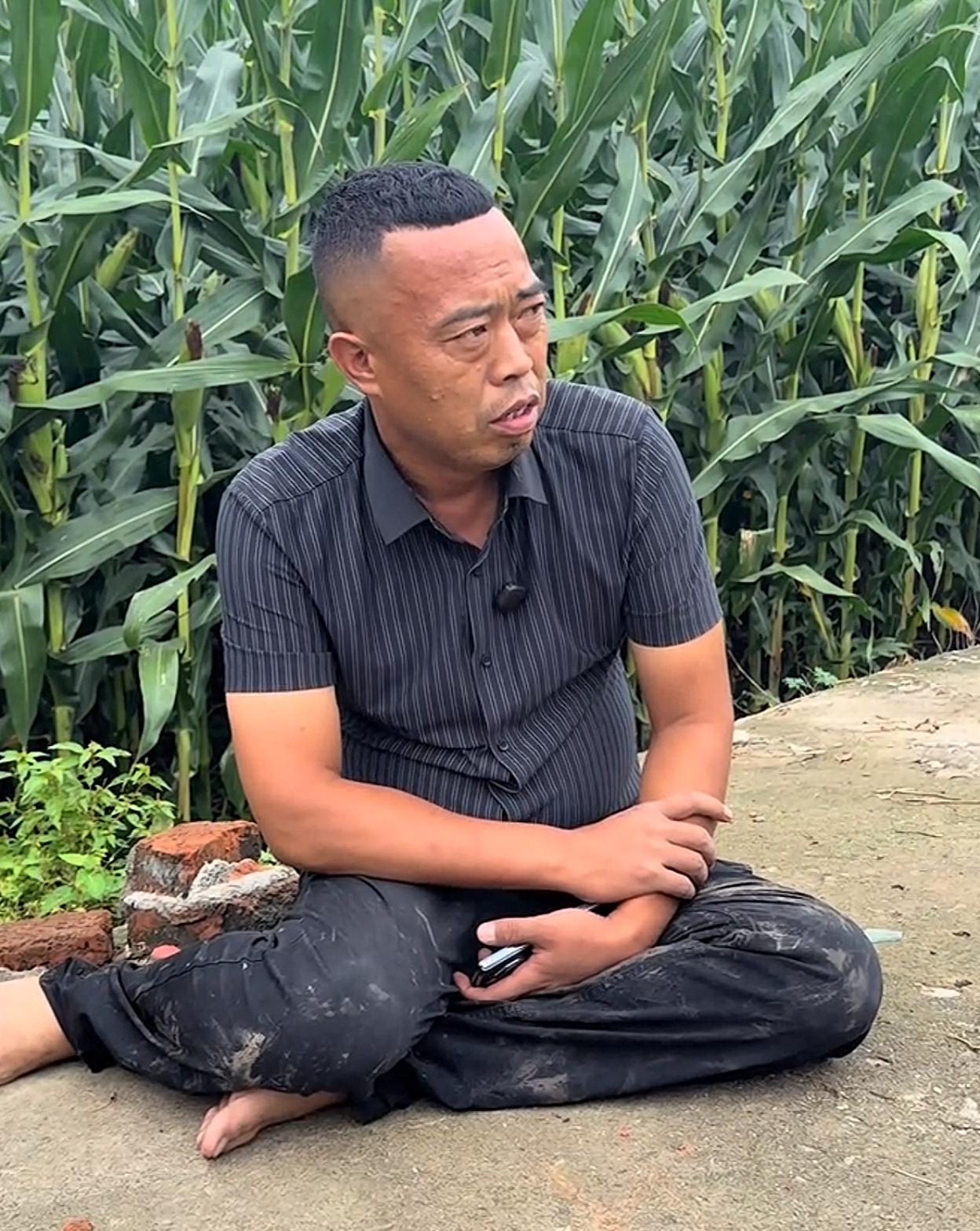 黑龙江“土地王”刘辉这次亏大了，1400亩的玉米地，一阵大风全部刮倒了他无奈的