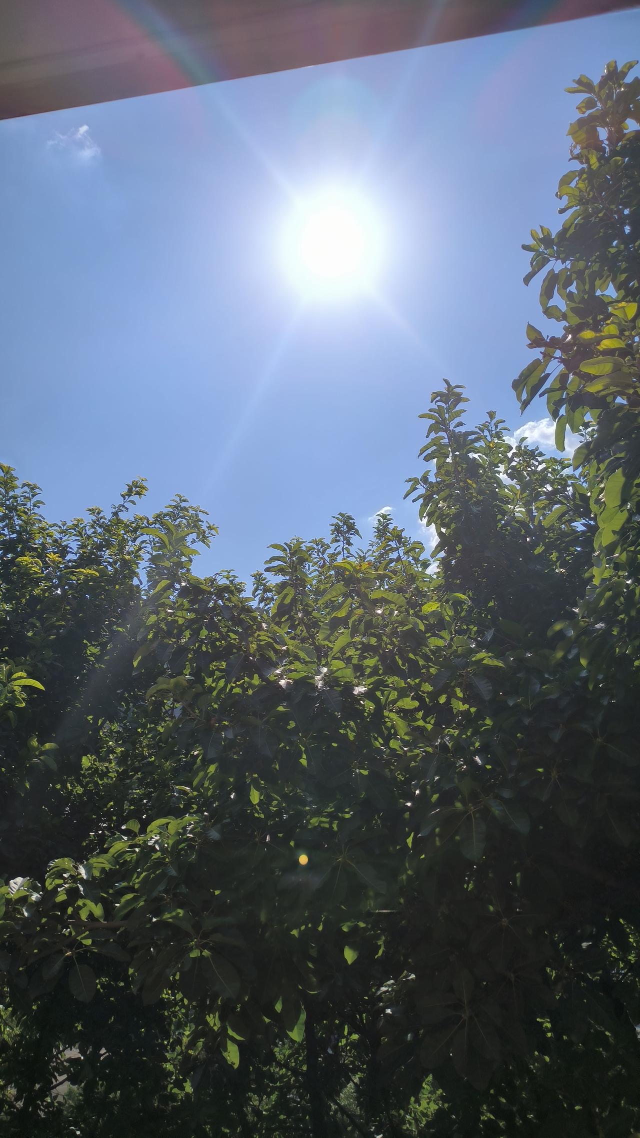 朋友们,重庆夏天真的很热吗?重庆夏天‌确实非常热‌，是公认的“火炉”城市，夏