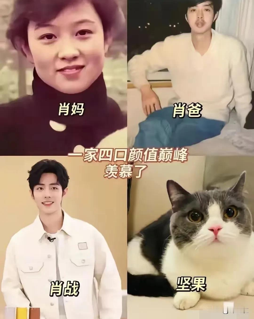 肖战可不是基因彩票，因为他妈妈明显是一个明艳大美女，而且他妈妈那个年代。照片