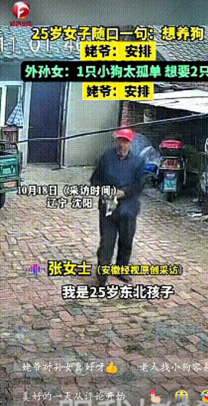 看哭了！”辽宁沈阳，25岁女孩去姥爷家玩的时候随口说了一句：想养狗了！没放在心上