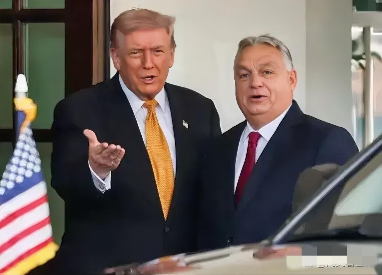 俩个鹅仔…在白宫又密谋一番，搞不好波克罗夫斯克又要被不靠谱送给鹅，就