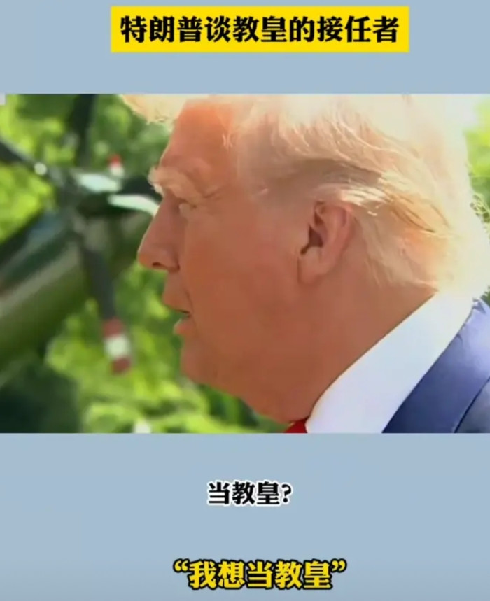 跳梁小丑，只会一味的刷存在感！ 就在昨日，有记者问道特朗普希望谁成为下一任教